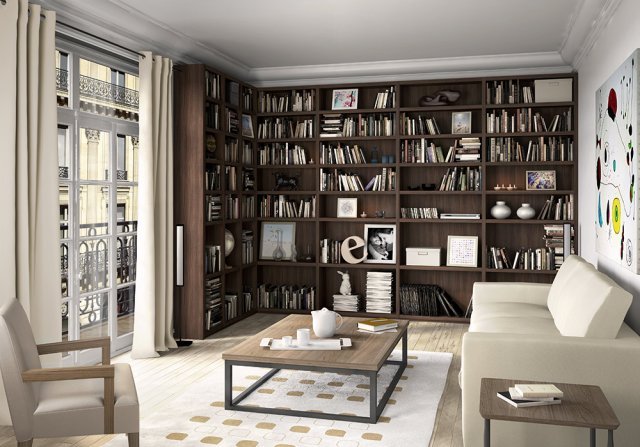 bibliothèque dans un appartement