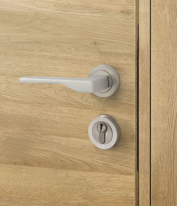 Aper?u Poignée Adam pour bloc-porte